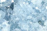 Sparkling Celestine (Celestite) Geode Section - Madagascar #364697-1